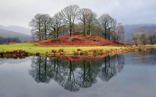 trees-lake-district-cumbria